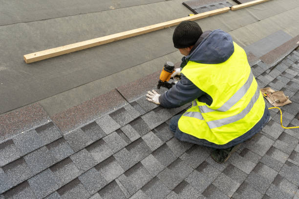 Best Local Roofing Companies  in Lubeck, WV