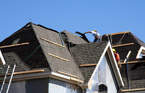 Best Roof Maintenance Services  in Lubeck, WV