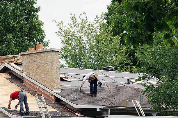 Professional Roofing Contractor in Lubeck, WV