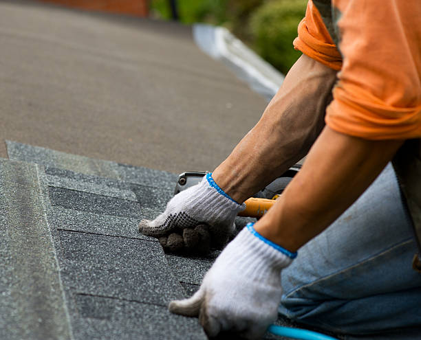 Best Shingle Roofing Installation  in Lubeck, WV