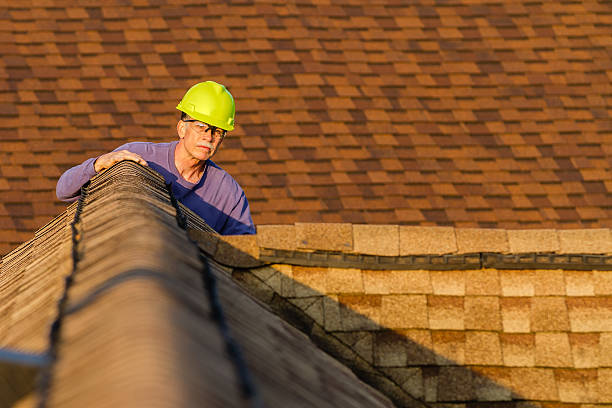 Best Shingle Roofing Installation  in Lubeck, WV