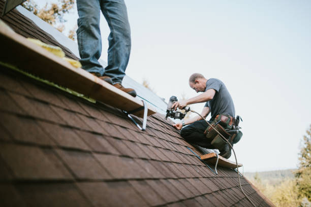 Best Commercial Roofing Services  in Lubeck, WV